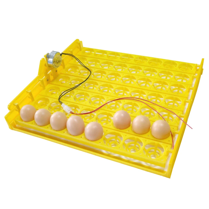 Инкубатор для яиц 56 110 В/220 В|incubator thermometer|incubator quailincubator laboratory |