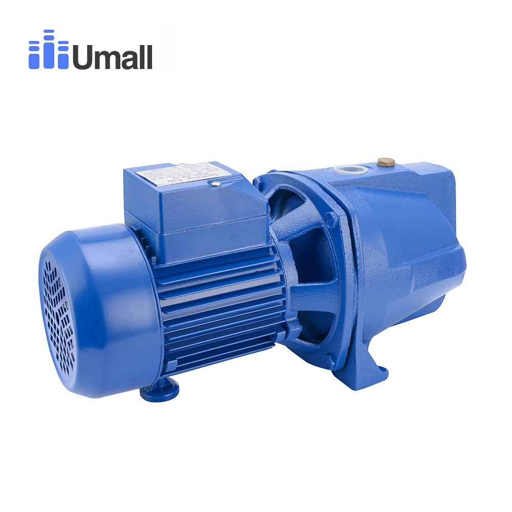Фото Водяной насос 1hp Jet Booster 220 В переменного тока чугунный самовсасывающий Водяной насос 1hp Jet Booster 220 В переменного тока чугунный самовсасывающий