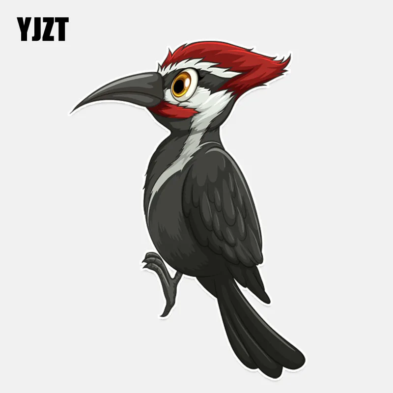 

YJZT 10*14.4CM Coolest Woodpecker Decor Car Sticker Colored PVC Personalized 11A0103