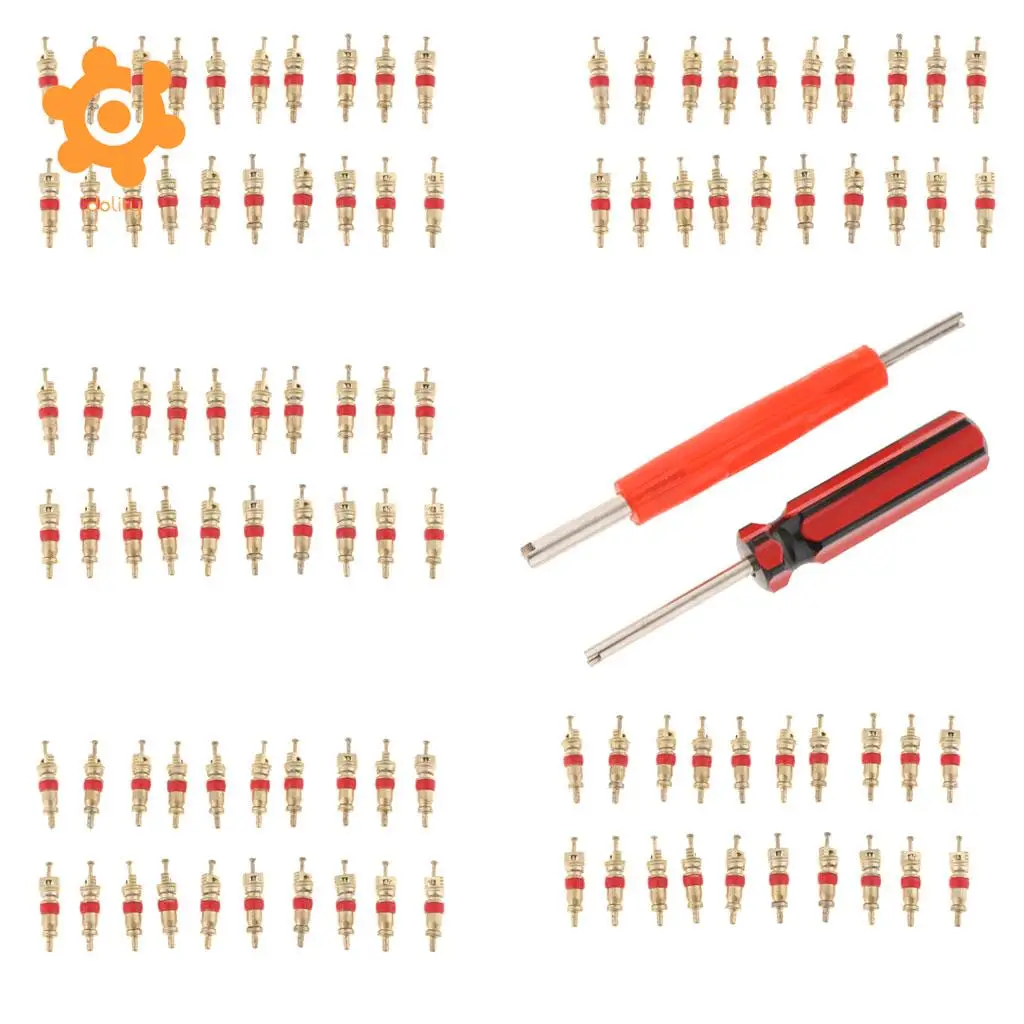 102Pcs Tire Valve Stem Core Part Dual /Single Head Valve Core Remover Set