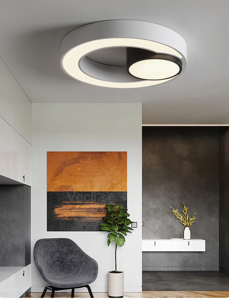 Ring ceiling lighting (14)