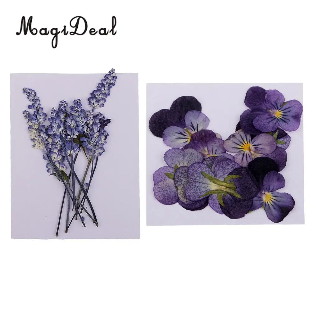 22pc Assorted Dried Pressed Flowers Real Violet & Sage Plant Herbarium For Scrapbooking Card Making DIY Jewelry Phone Case Craft