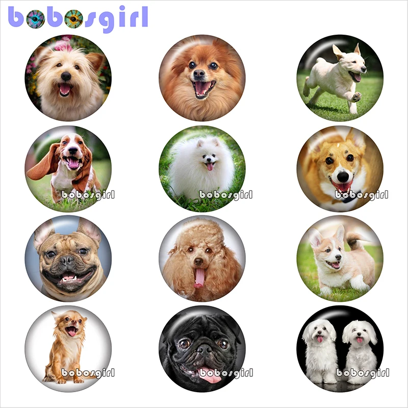 Собака стекло кнопки ювелирные изделия DIY dog вокруг фото Кабошоны с плоской