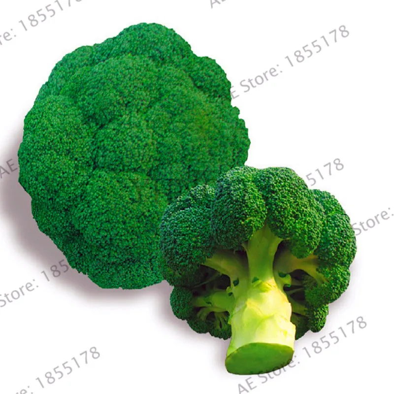 

Big Promotion!Free Shipping Broccoli Plants/10PCS Bonsai Brassica Oleracea Green Cauliflower Vegetable Garden Plantas,#CT90T9