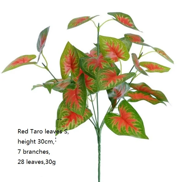 Red Taro leaves S