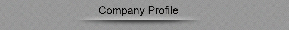 company profile