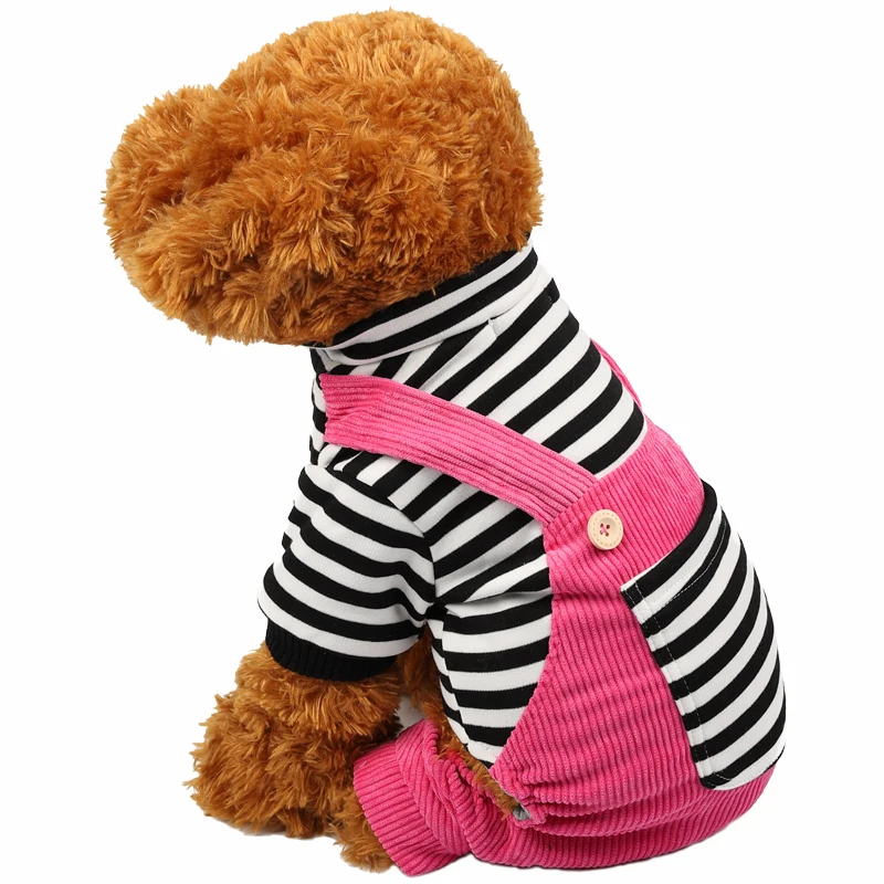 6 clothing for dog 