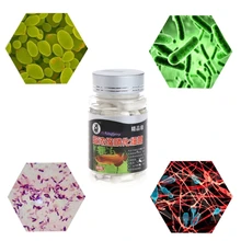 One Bottle 60Pcs Nitrifying Bacteria For Fresh Water And Marine Water Fish Tank