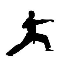 13*12.5 cm karate chinês kung fu sinais de carro adesivos de luta amantes adesivos de carro e decalques decoração da janela C2-0062
