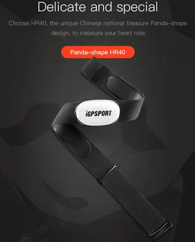 

Bluetooth4.0 ANT+Heart Rate Sensor Compatible GARMIN Bryton IGPSPORT Computer Running Sports Bike Heart Rate Monitor Chest Strap