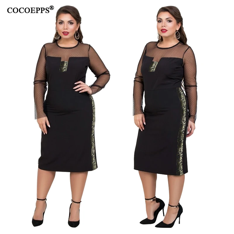 COCOEPPS  6
