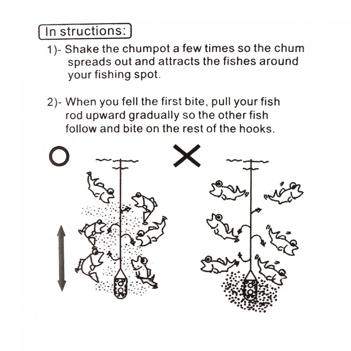 25478-description-8-l2.jpg