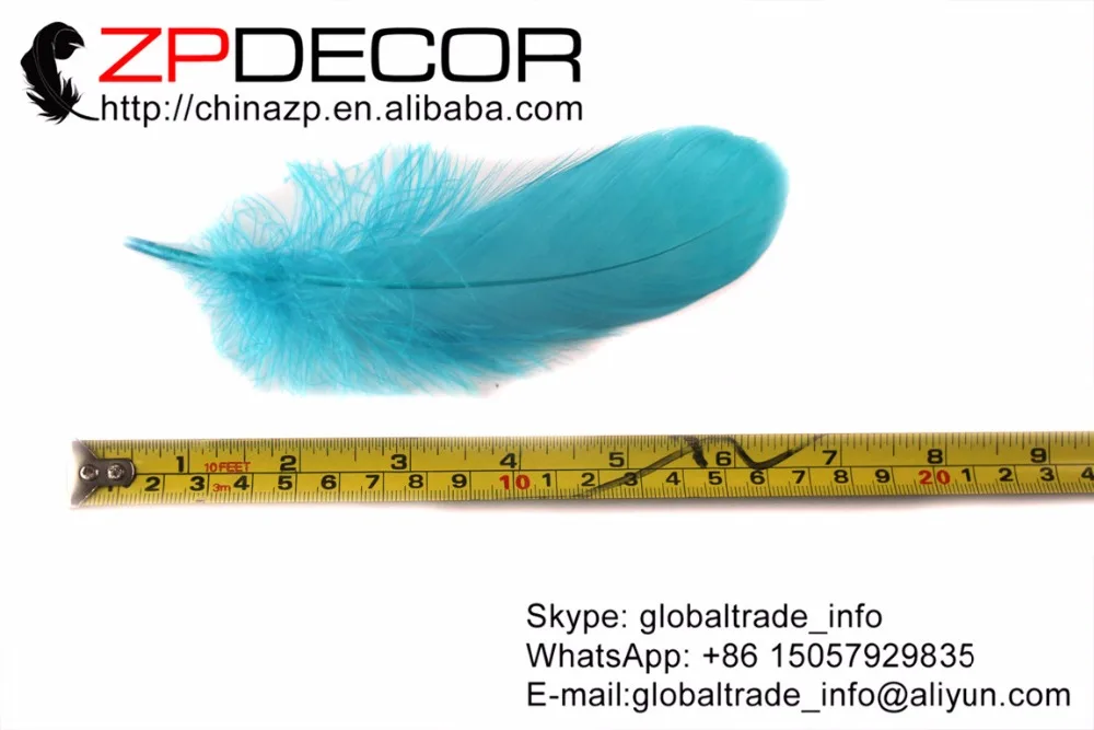 blue goose feathers (1)