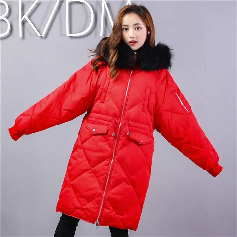 BU4K8440