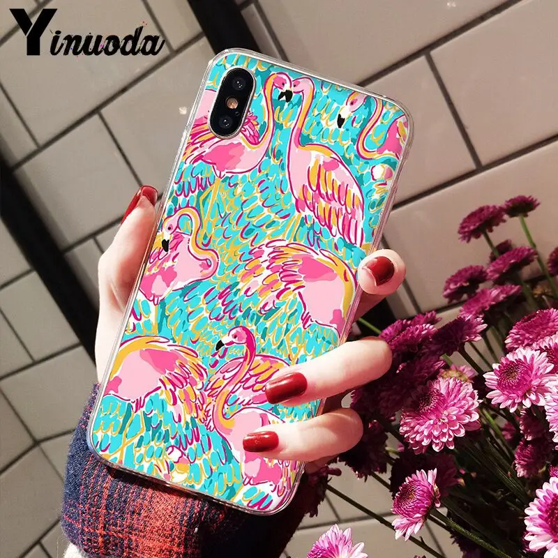 Flamingo Cute Animals Birds