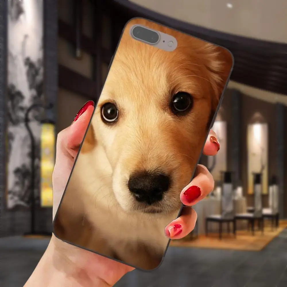 Золотой ретривер собака для Xiaomi Mi Mix Max Note 2 2S 3 5X6 6X8 9 SE A1 A2 Lite Play Pro F1 мягкий милый
