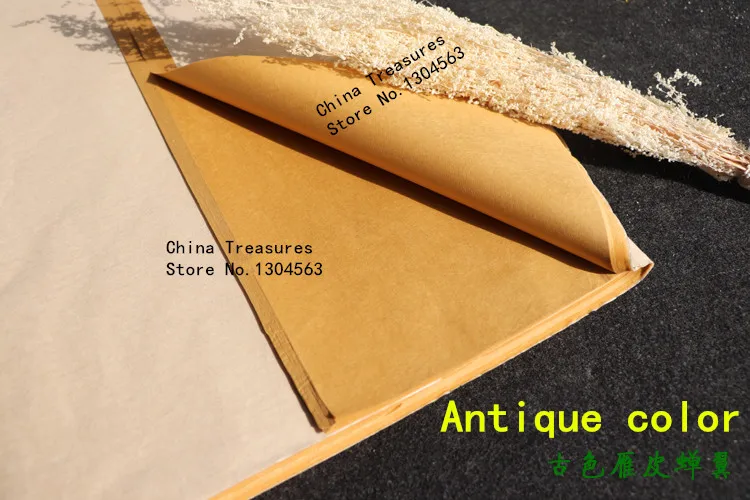 Рисунок 5 - Китайская Цикада