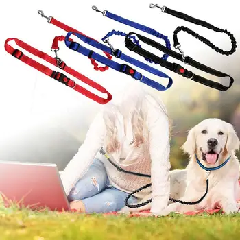 

Adeeing Multifunction Elastic Force Pet Leash for Outdoor Dogs Training Walking