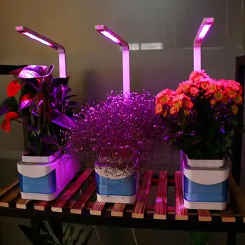

TPFOCUS Small Power Full Spectrum LED Grow Light with Hydroponic Box for Indoor Planting