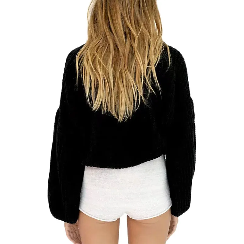 High quality sweater women winter 2018 Casual Fashion Sleeve Round Neck Long Sleeve female Solid Sweater Top Blouse O05#N (16)