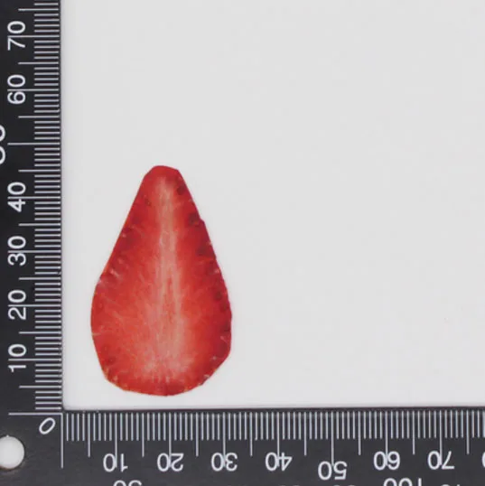 Strawberry 10 шт прессованный высушенный фруктовый ломтик гербарий из растений для ювелирных изделий открытка с пригласительным билетом чехол для телефона Закладка рукоделие Изготовление DIY - Цвет: Strawberry