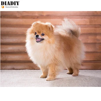 

DIADIY DIY diamond Embroidery Pomeranian Dog 5D diamond painting of Cross stitch kit for living room Needlework set embroidery