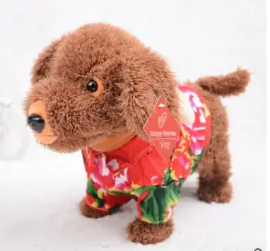 music-dog-pet