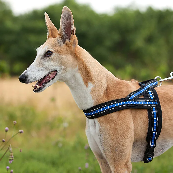 Funny Way Dogs Basic Halter Harness Chest Collars Nylon Vest Brief