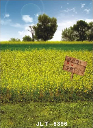 

SHANNY 300cm*300cm Vinyl Custom Photography Backdrops Prop Digital Photo Studio Background  S-6396