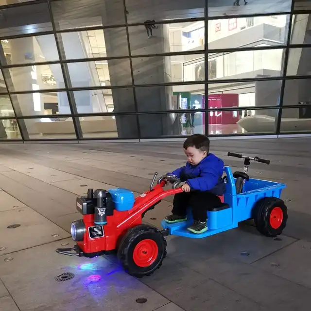 double seat electric car