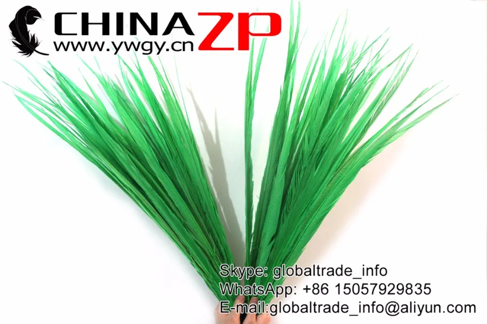 2 Golden Pheasant Tail Feathers Green Color Dyed   (4)