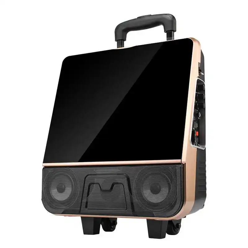 Outdoor portable video audio speaker bluetooth