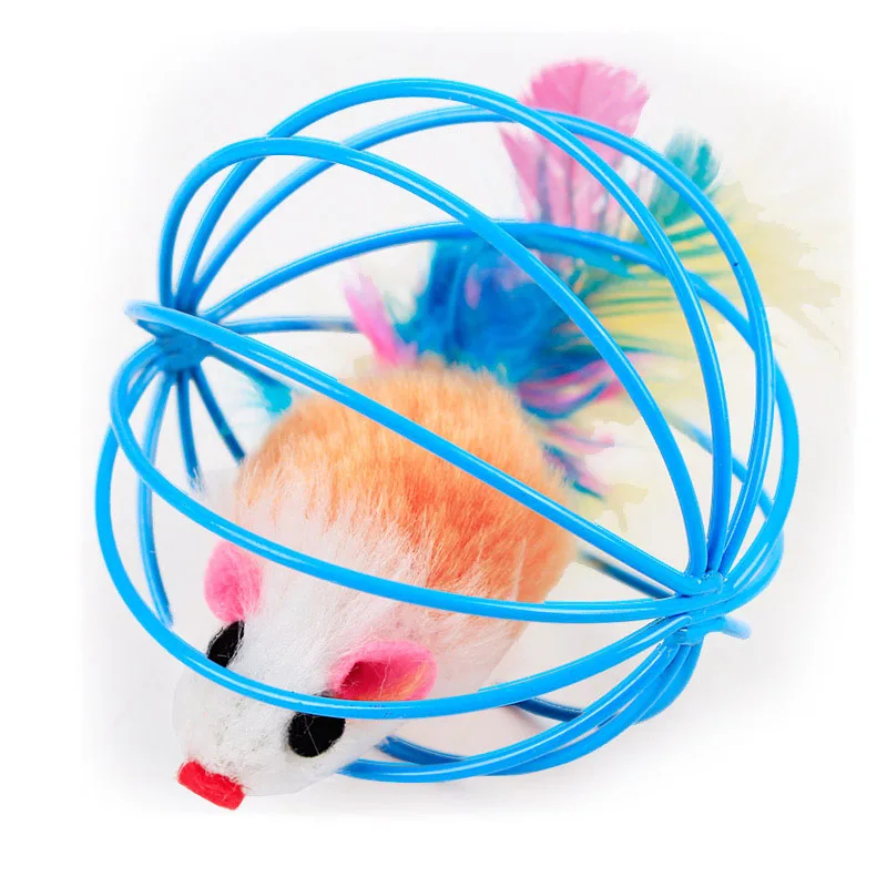 cat toy