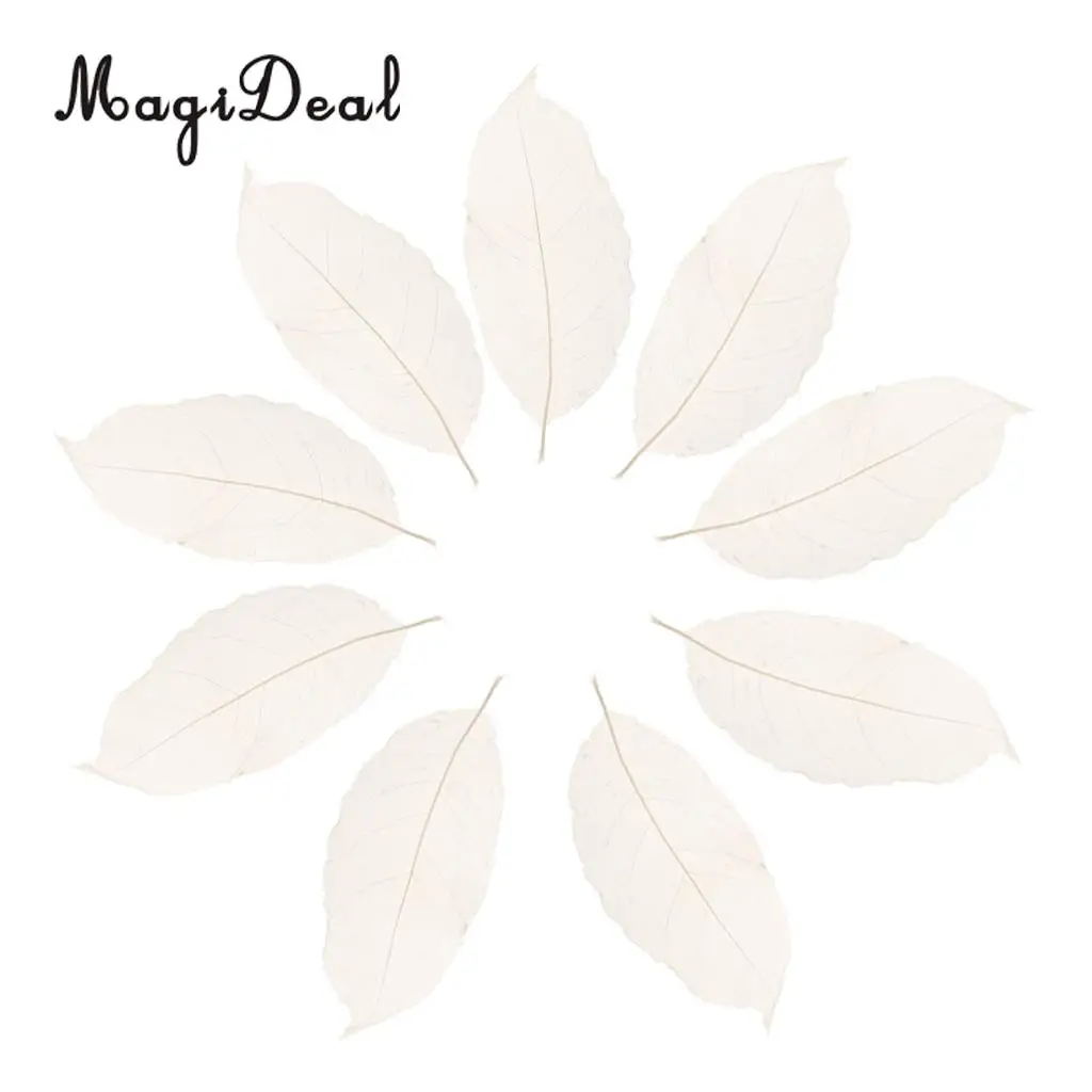 MagiDeal 50Pcs Natural Magnolia Skeleton Leaf Leaves Card Scrapbook White Wedding Party Decor Skeleton Leaves