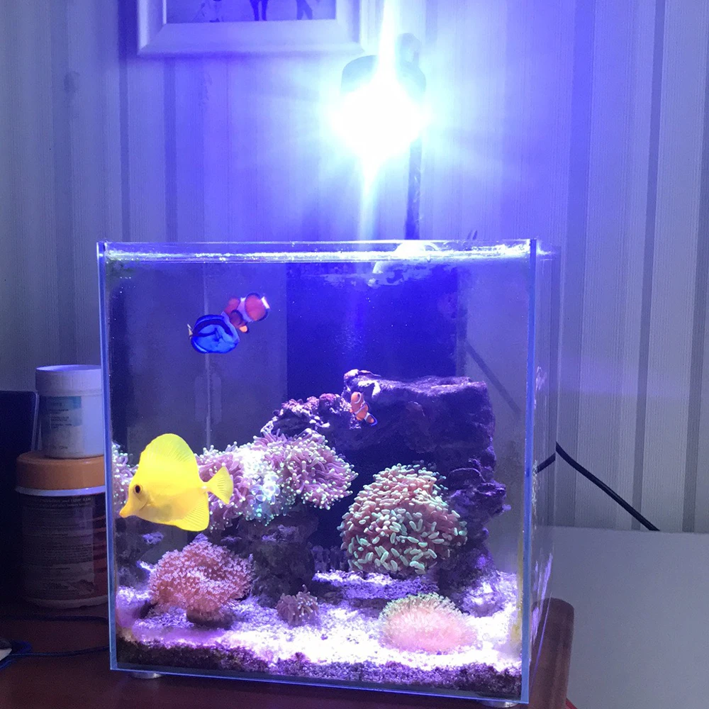 aquariam lights aquariam lights