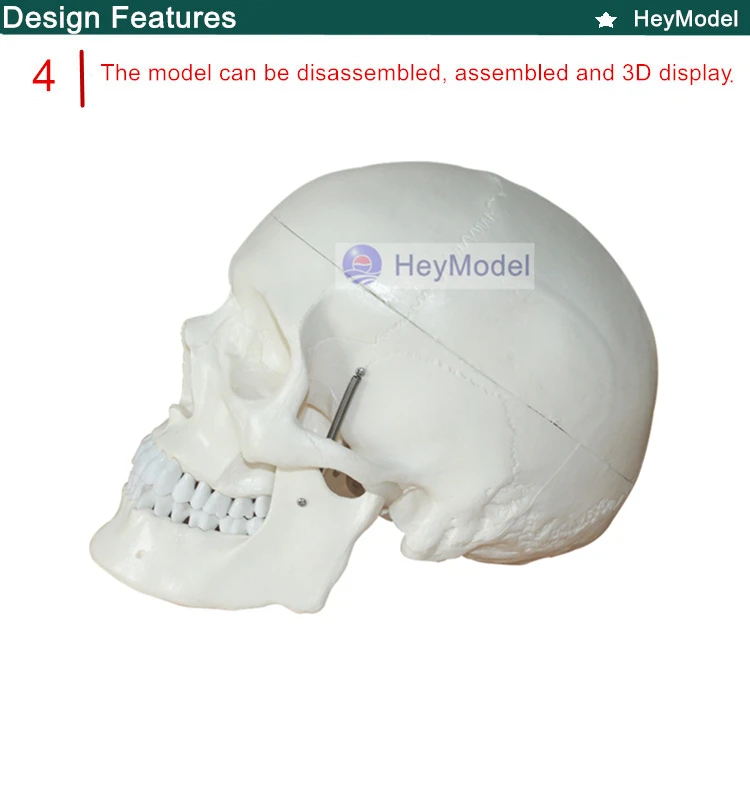 4 _