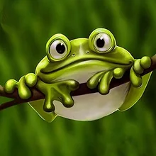 Обычай алмаз живопись эйген фото птицы животные лягушка 5d diy Мандала алмаз живопись полный квадратный/круглый фильмы украшения maison