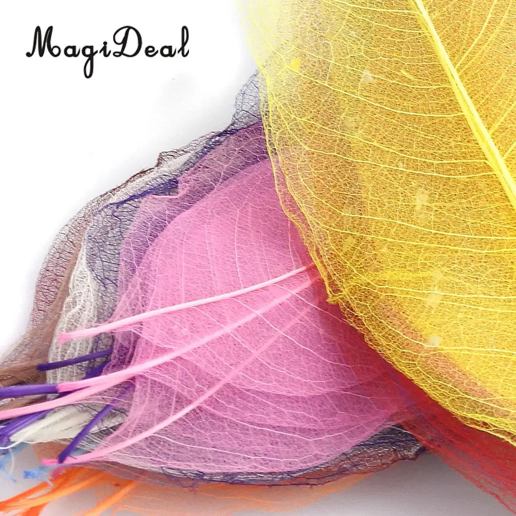 MagiDeal 50Pcs Natural Magnolia Skeleton Leaf Leaves Card Scrapbook - Mixed Color Decorate Cards Candles Packages