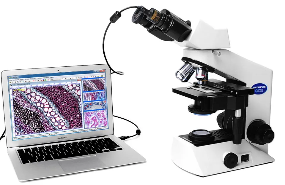 USB 5.0mp окуляр камера биологический стерео микроскоп захват изображения промышленный электронный окуляр с кольцевым адаптером