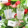wholesale Potato Clock Electrochemical Cell Experiment material ,funny novelty home school green science educational kit ► Photo 3/4