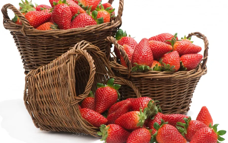 Online Buy Wholesale berry baskets from China berry baskets Wholesalers