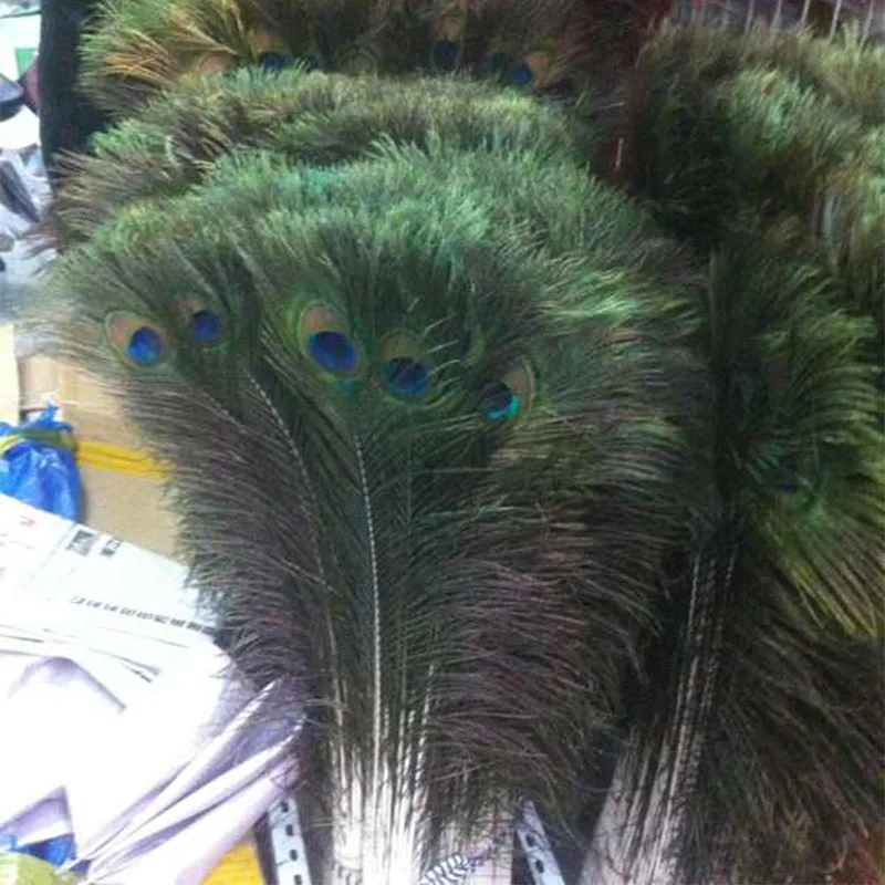 Feathers Crafting Pieces 12 Peacock Feathers Natural Peacock Eye