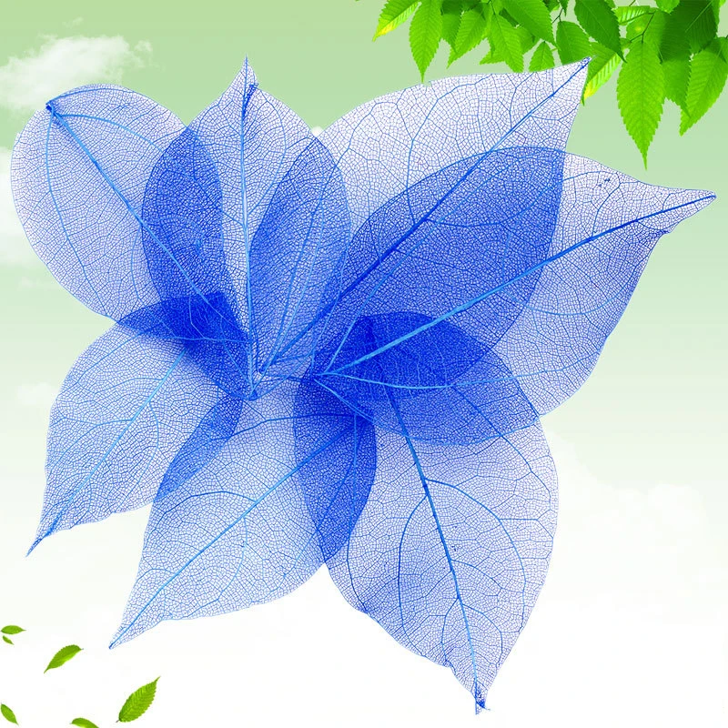 QQ20190322160421