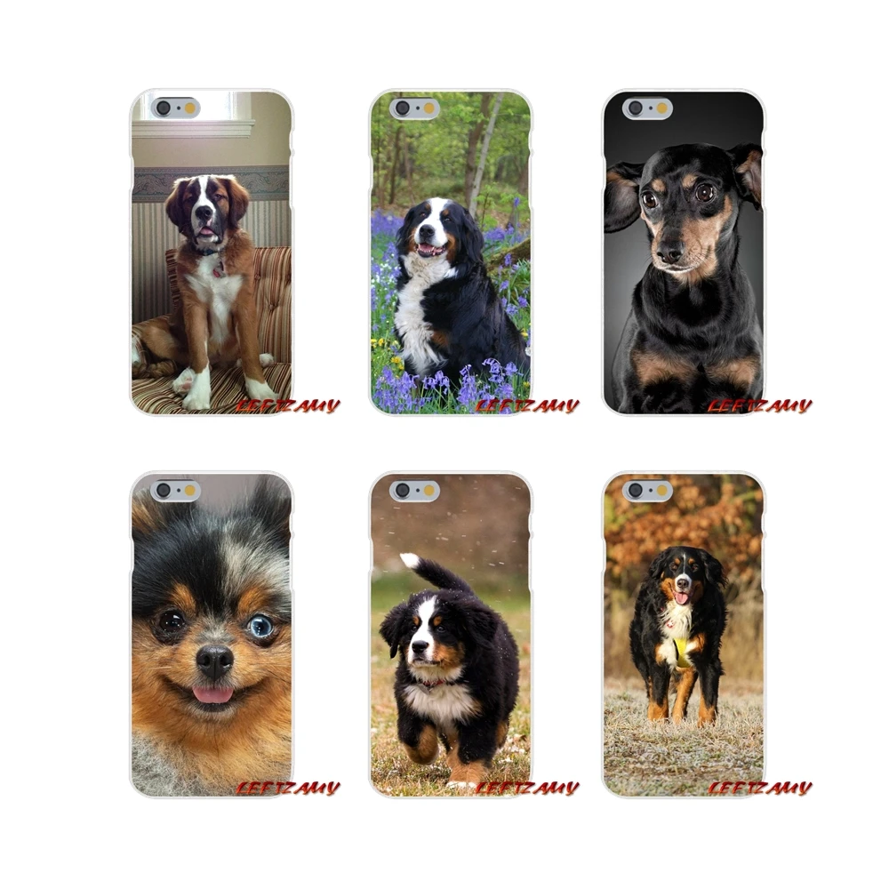 Для Huawei P Smart Mate Y6 Pro P8 P9 P10 Nova P20 Lite Mini 2017 аксессуары чехлы для телефонов Bernese Mountain Dog