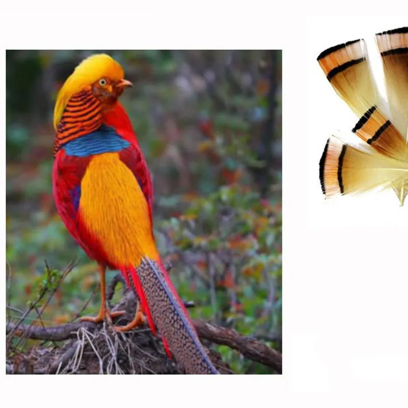 Attractive 50pcs Cambo Turkey Marabou Blood Feathers Fly Fishing Tying Material Lure Making/ Imitate Insect Hooks Pesca