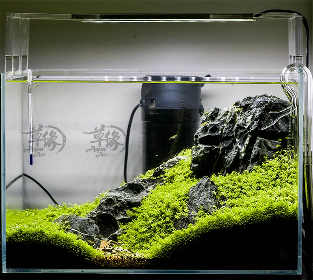 VIV mini nano стеклянная труба Орхидея фиолетовый приток выток стиль ADA водяное