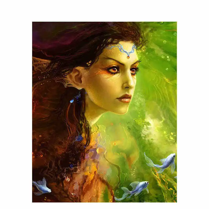 

Abstract painting of undecoratedBeauty and fish female by number Modern art diy digital painting photo