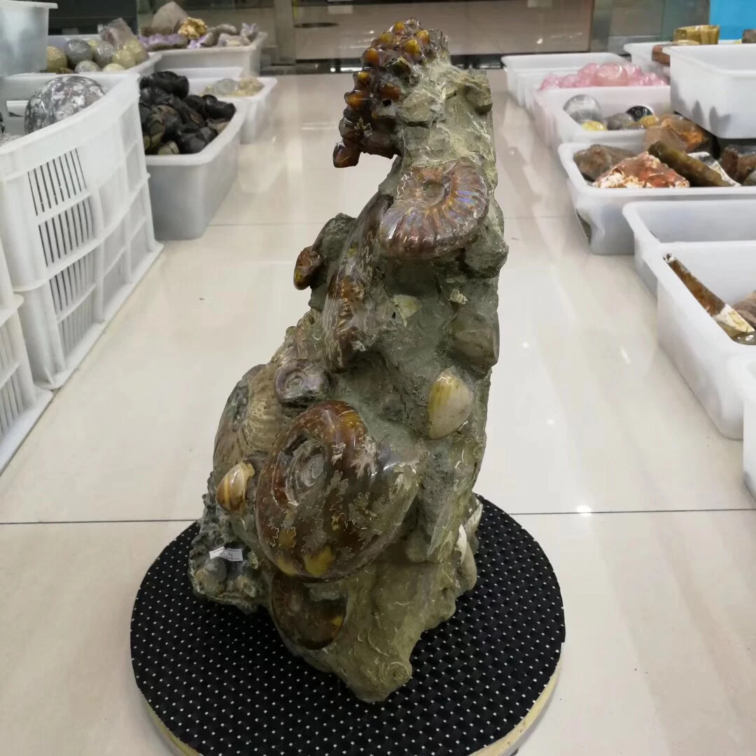 Высокое качество Коллекция fengshui подарки рок винт образец fossil
