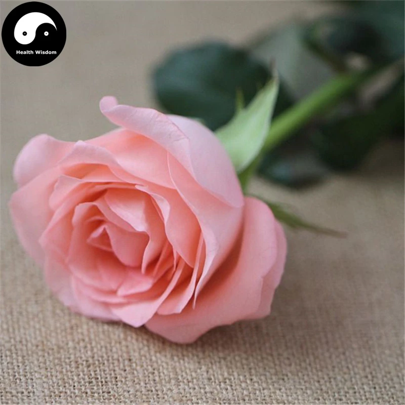 Купить китайские розовое дерево Semente 400 шт. завод цветок розовый Rosa Rugosa