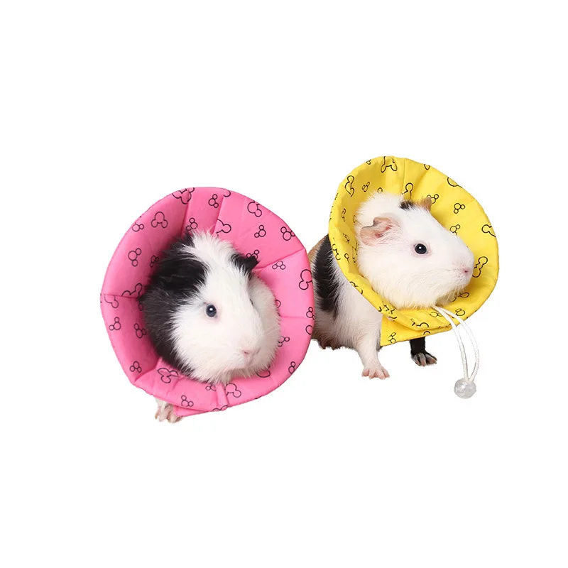 

Hamster rabbit guinea pig Elizabeth Protective Collar hamster Recovery Collar hamster Neck Cone Protector pet Healing Collar